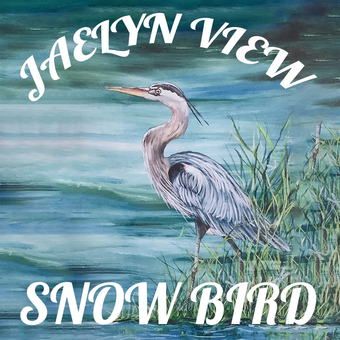 Jaelyn View Snow Bird Logo